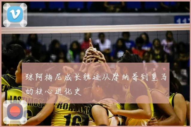琼阿梅尼成长轨迹从摩纳哥到皇马的核心进化史