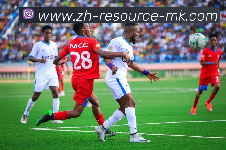 MK体育平台生态图